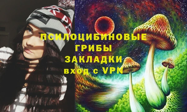 соль ск Приозерск