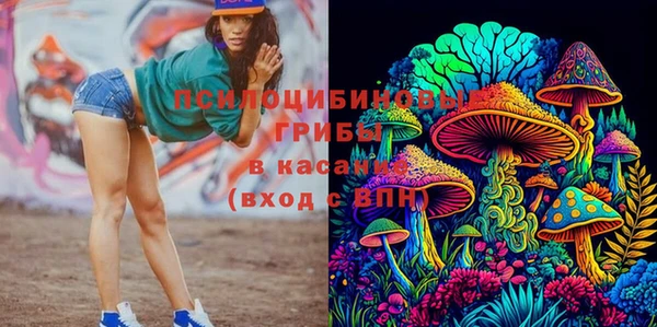 ГАЛЛЮЦИНОГЕННЫЕ ГРИБЫ Алексеевка