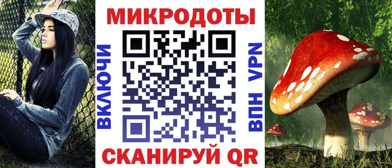 Псилоцибиновые грибы Magic Shrooms  купить   Алзамай 